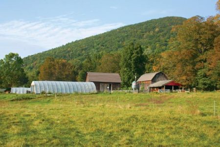 Young Farmers Restore Rural America Image
